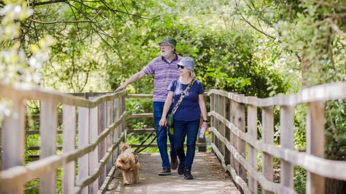 Couple walking dog on Langham Ponds Boardwalk